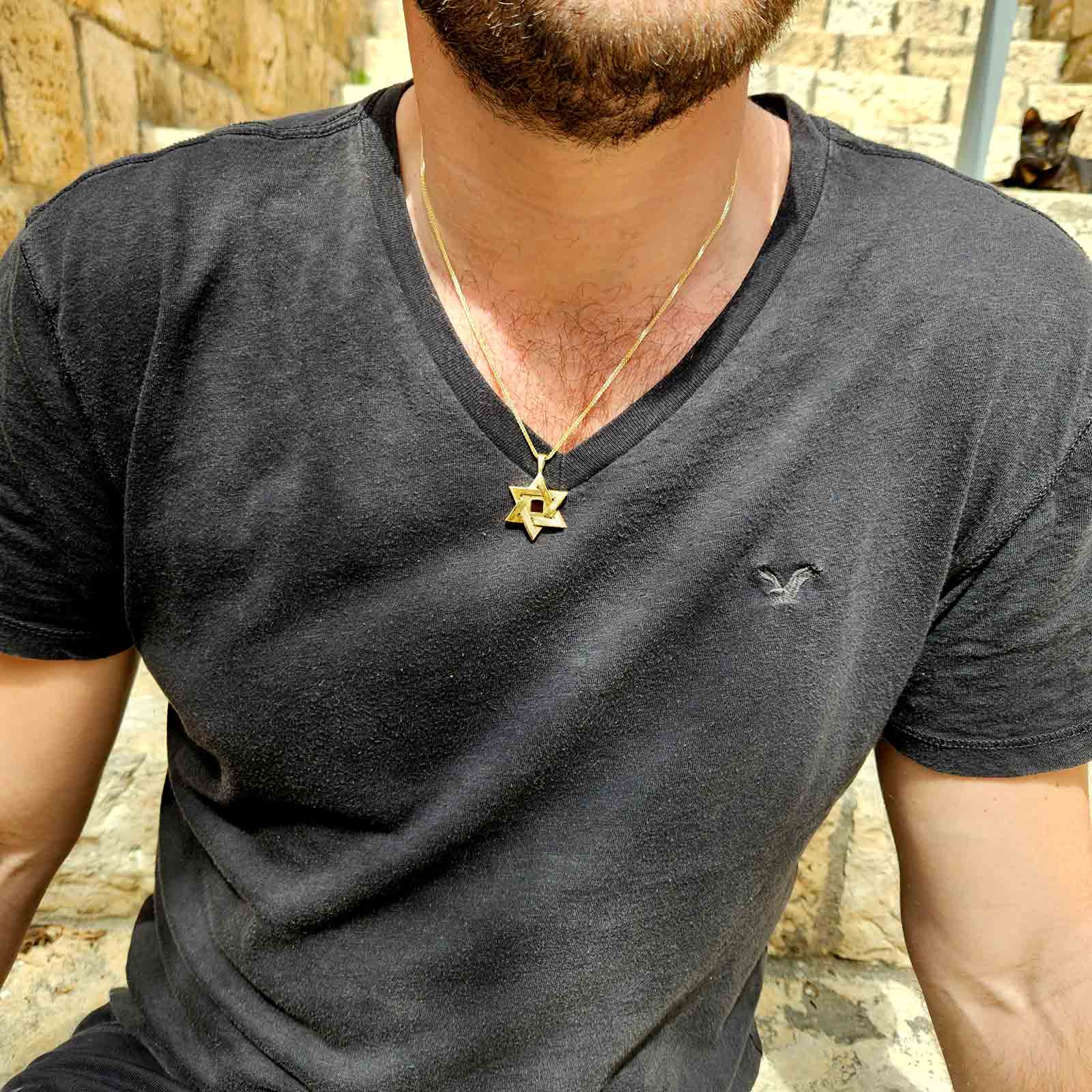 שרשראות עם תנך לגברים | ביתן המלכים