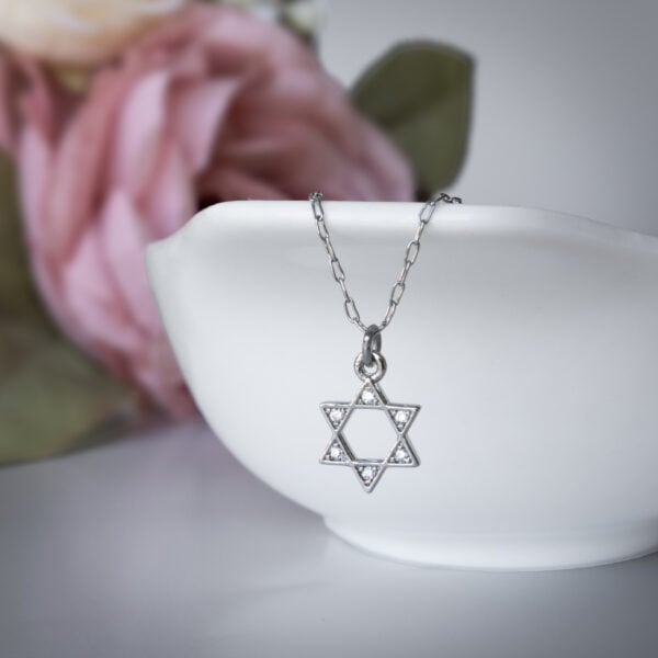 שרשרת מגן דוד פאבה כסוף - תמונה ראשית - שרשראות לנשים בעיצוב אלגנטי | ביתן המלכים