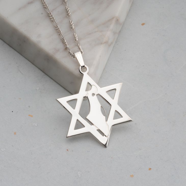 שרשרת מגן דוד עם מפת ארץ ישראל דגם עתלית - שרשראות מגן דוד לגברים | ביתן המלכים