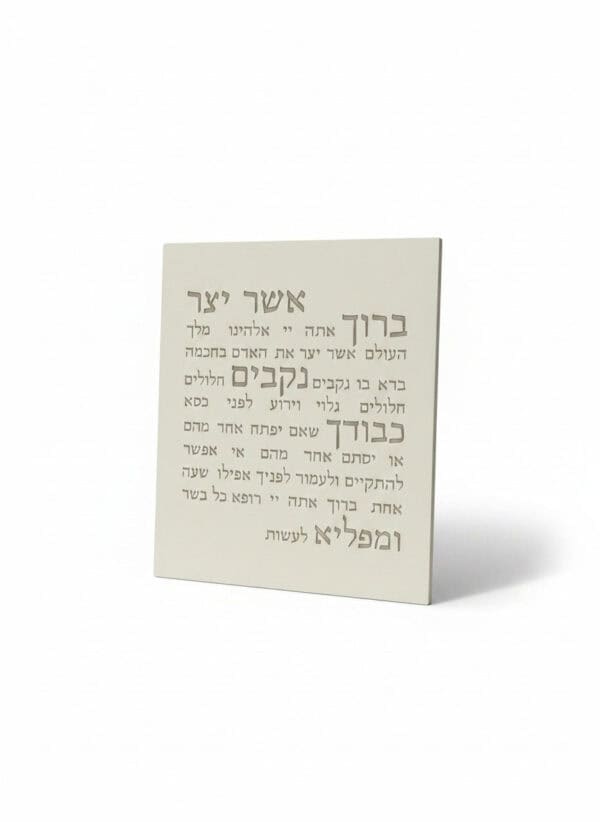 אשר יצר | דגם מעוצב - לבן טבעי - כיתוב חום - תמונה ראשית DARYA | ביתן המלכים