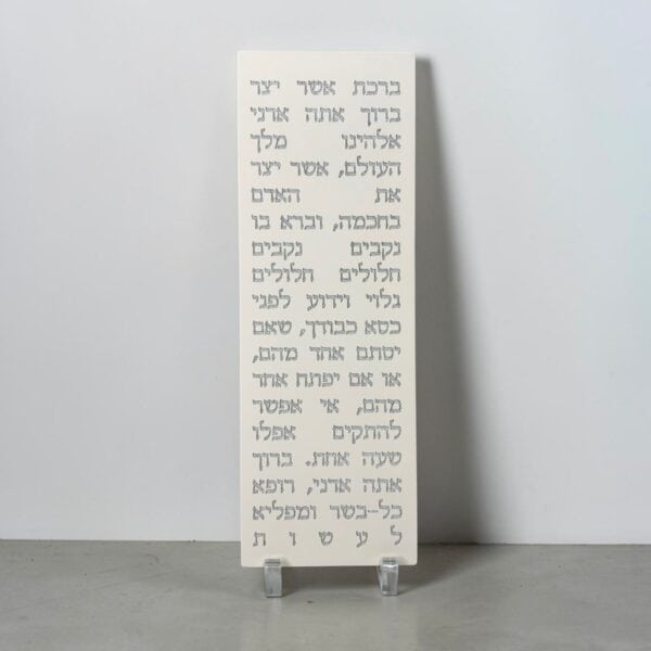 אשר יצר | לבן טבעי - תמונה ראשית DARYA | ביתן המלכים