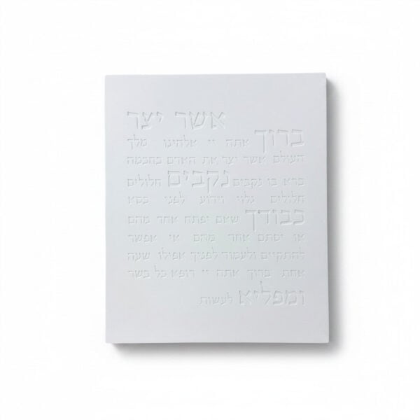 אשר יצר | דגם מעוצב - לבן - תמונה ראשית DARYA | ביתן המלכים