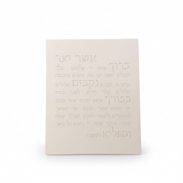 אשר יצר | דגם מעוצב - לבן טבעי - תמונה ראשית DARYA | ביתן המלכים